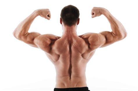 jefit|jefit exercises.